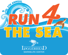 run 4 the sea logo