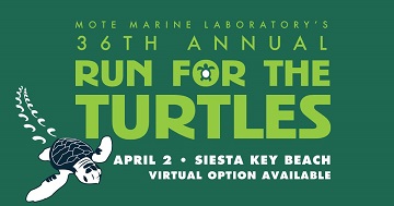 Run For The Turtles 2022